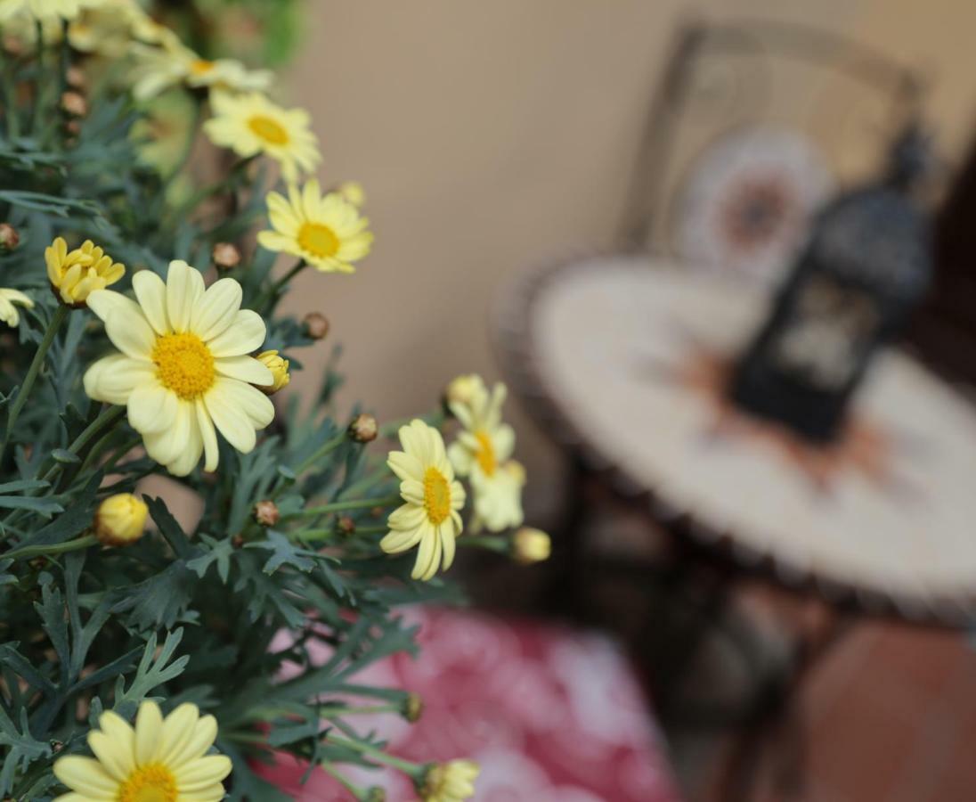 Casa Jessica Apartment มอนเตกาตินี แตร์เม ภายนอก รูปภาพ